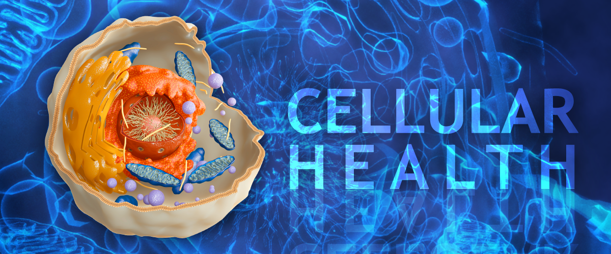 An image depicting Cellular Health 