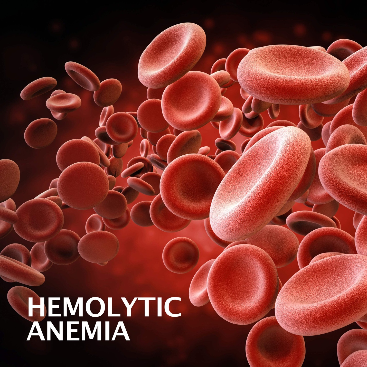 Medical illustration depicting Hemolytic Anemia: Red blood cells breaking apart prematurely, leading to reduced oxygen transport in the bloodstream.