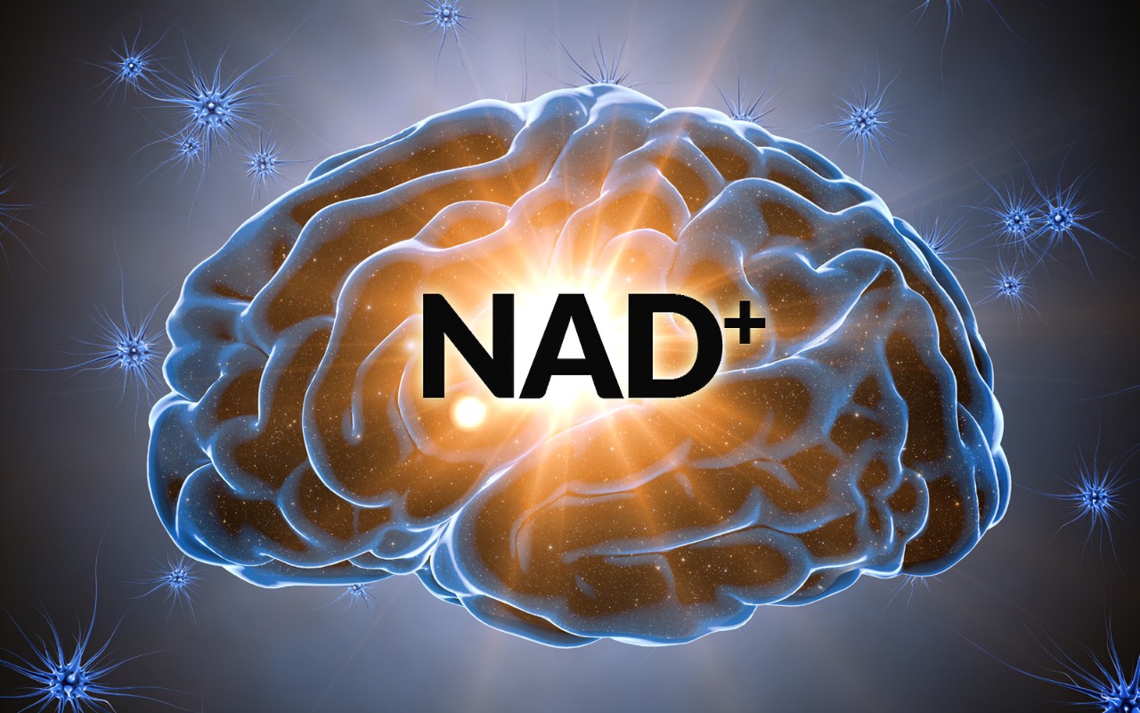 NAD+ Brain
