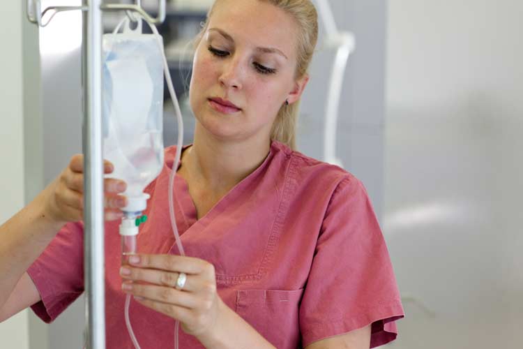 Nurse Setting up IV for a patient