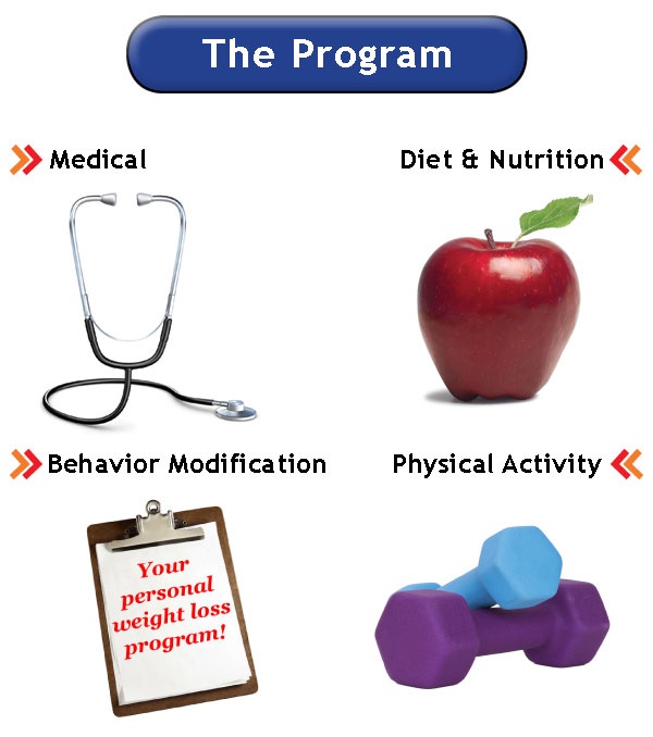 Program of the activities