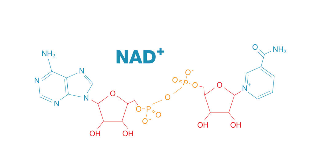 Scientific Formula for NAD+