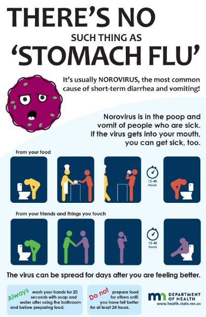 The Minnesota Department of Health defines norovirus as the most common cause of short-term diarrhea and vomiting